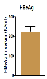 13.png