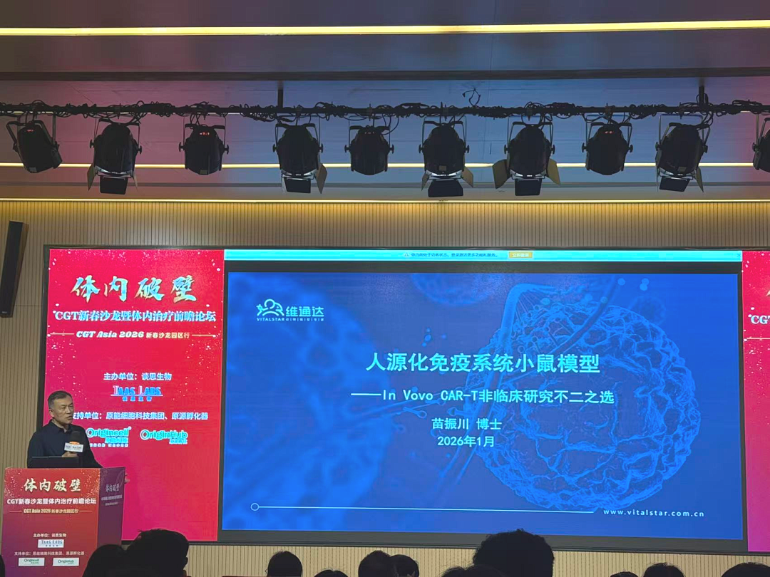 In vivo CAR-T新春沙龙 | 人源化免疫系统小鼠模型—in vivo CAR非临床研究不二之选(图3)