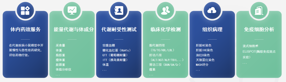 1(图1) 1(图1)